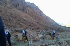 IMG-20191211-WA0118