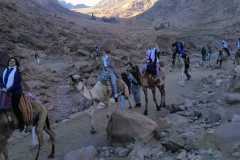 IMG-20191211-WA0119