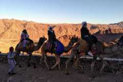 IMG-20191211-WA0191
