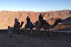 IMG-20191211-WA0194