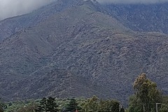 IMG_20231130_122310856