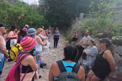 IMG_20231202_085310084