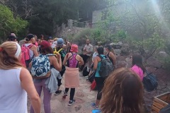 IMG_20231202_085344146