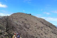 IMG_20231202_111949005