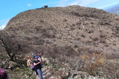 IMG_20231202_111952148