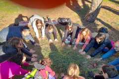 WhatsApp-Image-2025-03-30-at-4.22.24-PM-1