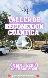 VER VIDEO MIAMI 2025