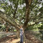 TALLER DE RECONEXION CUANTICA (MIAMI – EEUU) OCTUBRE 2025