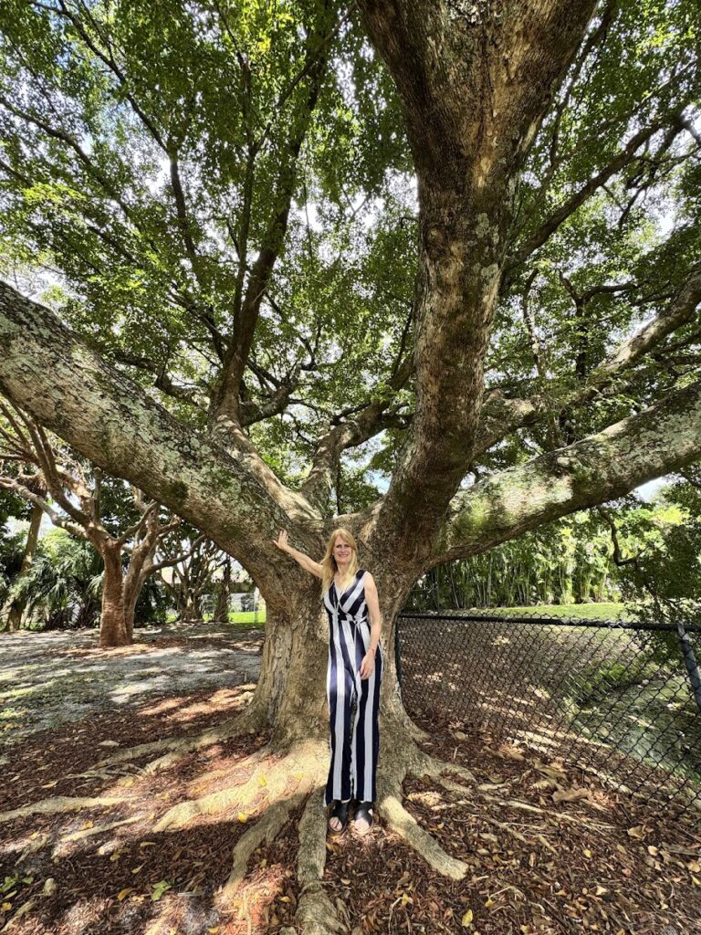 TALLER DE RECONEXION CUANTICA (MIAMI – EEUU) OCTUBRE 2025